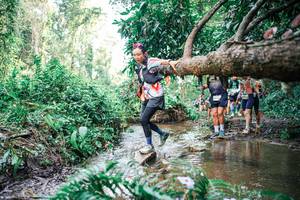 BIB: 
                            <button type="button" onclick="openModal(25515584)" class="btn btn-primary btn-sm float-right btn-popup" data-toggle="modal" data-target=".modal-high-quality">
                        <i class="fas fa-shopping-cart"></i> Add to Cart
                    </button>
                                            <button type="button" onclick="isThisMe(25515584, true)" class="btn btn-success btn-sm float-right btn-popup btn-isme hidden" data-toggle="tooltip" data-placement="bottom" title="นี่คือรูปของคุณใช่ไหม คลิกที่นี่เพื่อเอาเข้าอัลบั้ม">
                        <i class="fas fa-plus"></i> Add to album
                    </button>
                    <button type="button" onclick="isThisMe(25515584, false)" class="btn btn-warning btn-sm float-right btn-popup btn-isnotme hidden">
                        <i class="fas fa-ban"></i> Remove from album
                    </button>